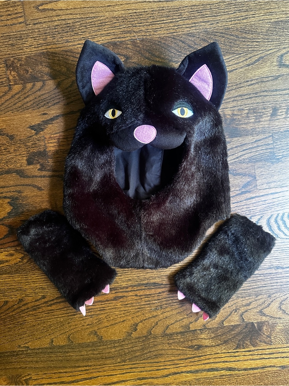 Pottery Barn Teen Cat Costume